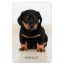 Suche nach fun magnete Katze