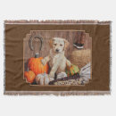 Suche nach labrador decken Welpen