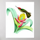 Suche nach naturwissenschaft poster Blume
