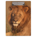 Suche nach zoo klemmbrett Safari