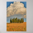 Suche nach zypressen poster Feld