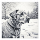 Suche nach schwarzer labrador retriever hund poster Schnee
