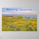 Suche nach monterey poster Landschaft