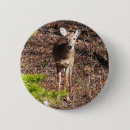 Suche nach hirsch buttons Tier