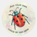 Suche nach ladybird aufkleber Insekt