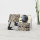 Suche nach emu postkarten Vögel