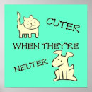 Suche nach spay poster Rettung