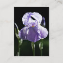 Suche nach iris visitenkarten Lila