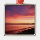 Suche nach schön ornamente Baum