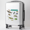 Suche nach insekt aufkleber Entomologe