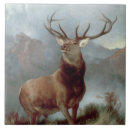 Suche nach sir fliesen Englisch