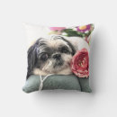 Suche nach shih tzu kissen Niedlich