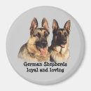 Suche nach german shepherd alle magnete Gsd