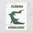 Suche nach florida alligator postkarten Reise