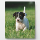 Suche nach lustiges mit hunden fotoplatten Welpe