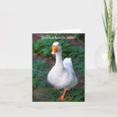 Suche nach gans karten Danke
