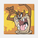 Suche nach road runner magnete Porky pig
