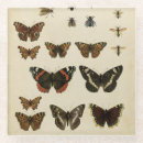 Suche nach studio untersetzer Schmetterlinge