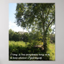Suche nach tree poster Birke
