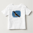 Suche nach raubvogel tshirts Adler