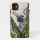 Suche nach französische bulldogge iphone hüllen Lustig