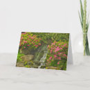 Suche nach azalee karten Frühling