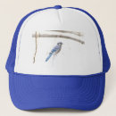 Suche nach vögel kappen Blau