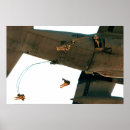 Suche nach military aircraft poster Flight
