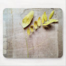 Suche nach kräuter mousepads Botanisch