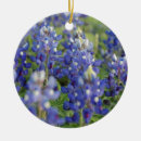 Suche nach frühlings blumen ornamente Blau