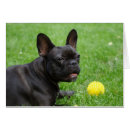 Suche nach cutie postkarten Cute