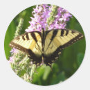 Suche nach lila wildblumen aufkleber Natur