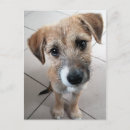Suche nach trauriger hund postkarten Welpe