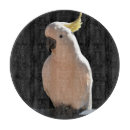 Suche nach australien schneidebrettchen Natur