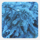 Suche nach fichte aufkleber Winter