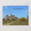 Suche nach cornwall postkarten Maismauer
