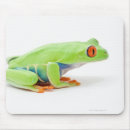 Suche nach rote augen mousepads Skalen