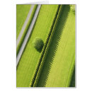 Suche nach hecke postkarten Grün