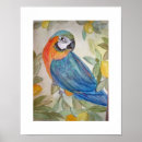 Suche nach papagei poster Aquarell