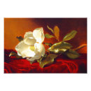 Suche nach martin johnson heade poster Stillleben