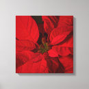 Suche nach poinsettia leinwandbilder Feiertage