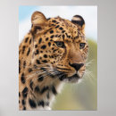 Suche nach fleischfresser kunst Große katze