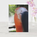 Suche nach flamingo karten Spaß