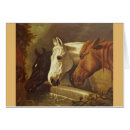 Suche nach pferdeartiges postkarten Tiere