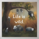 Suche nach wildes leben poster Tiere