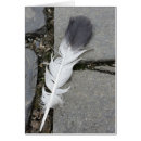 Suche nach gehweg postkarten Grau