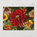 Suche nach zinnia poster Biene