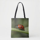 Suche nach ladybug taschen Fehler