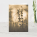 Suche nach photographs karten Floral