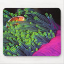 Suche nach anemone mousepads Tier